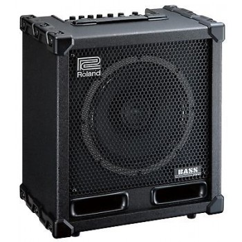 ROLAND CB-120XL 120W Bass Cube Looper Amplifier COSM Modeling
